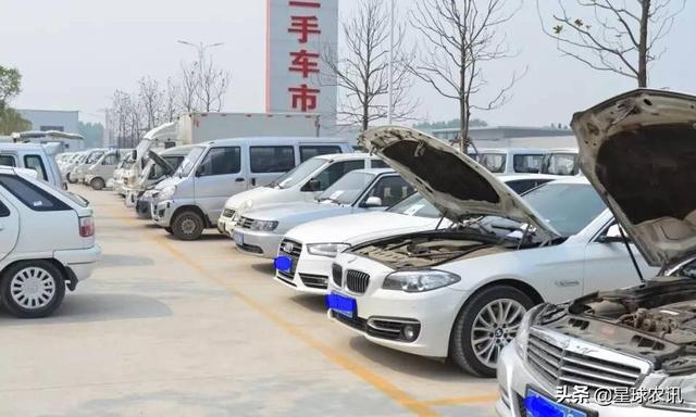 致富经养殖项目，致富经养殖项目视频？
