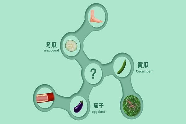 胆囊结石手术费用大概多少（胆囊炎胆囊结石做手术要多少钱）