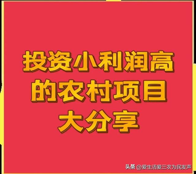 想做点小生意投资少的，现在做啥生意挣钱投资少？