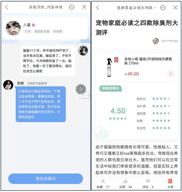 宠物店创业ppt模板免费，宠物店创业计划书市场营销计划？