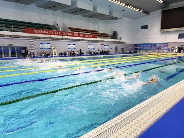 儿童游泳培训班收费价格（成人游泳培训班收费价格）