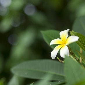 端午节怎么发朋友圈说说，端午节怎么发朋友圈说说短句？