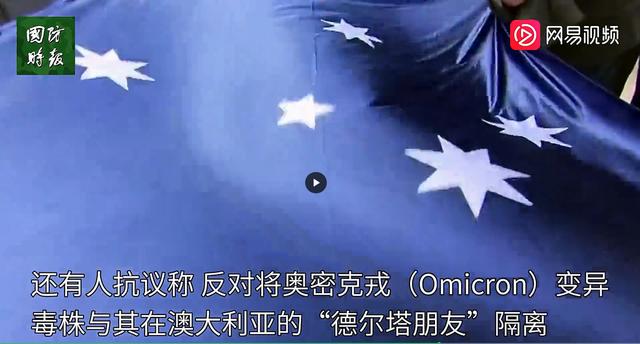 作文捉蚊子趣事（蚊子的一百种死法作文）
