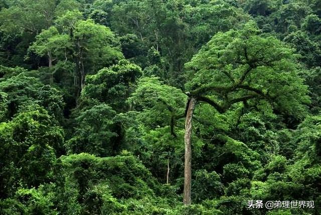 世界上流量最大流域面积最广的河流是什么河，世界上流量最大流域面积最广的河流是哪个河流？