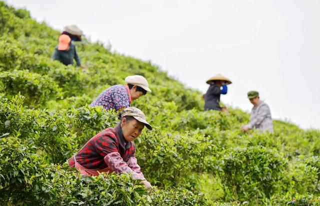 开店庆典邀请函怎么说，新店开业请人吃饭邀请函？