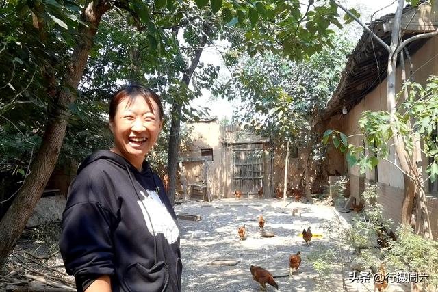 养植什么动物最赚钱呢知乎，养植什么动物最赚钱呢图片？