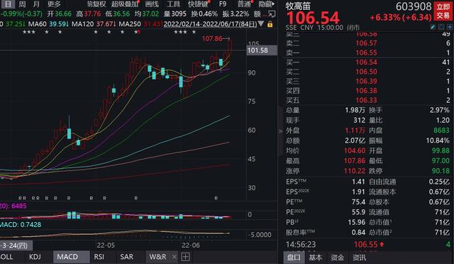 18电商概念股龙头有哪些，618电商概念股龙头有哪些2022？"