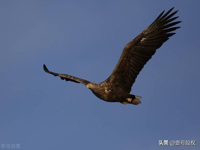 无忧传媒旗下艺人抖音小99，抖音无忧传媒旗下艺人名单？
