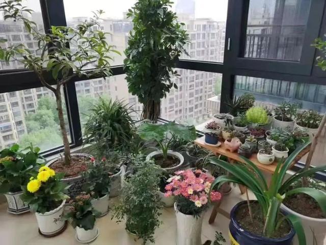 微信投票小程序怎么弄，微信投票小程序怎么弄限制投三项？