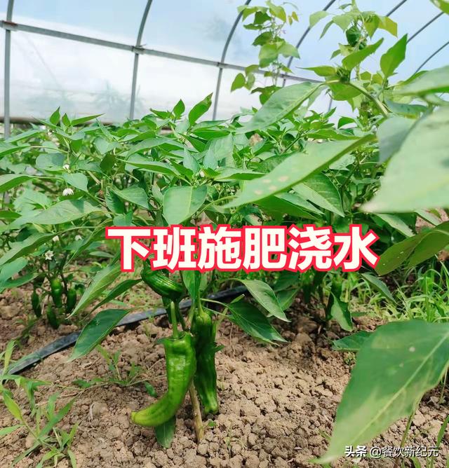 000万怎么创业，500块钱能创业吗？"