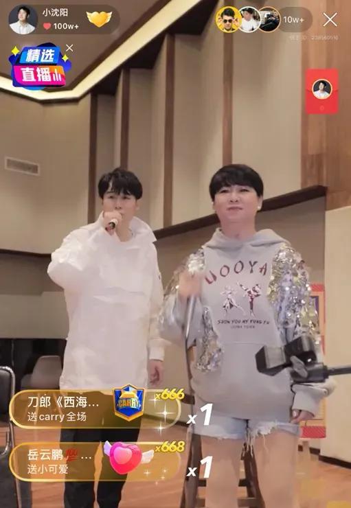 杨树林和圣罗兰区别（杨树林和圣罗兰是不是一个牌子）