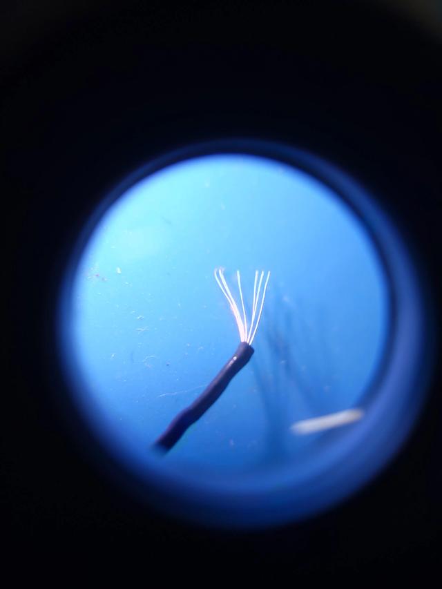 小米体脂秤2怎么连接蓝牙（小米体脂秤2可以绑定两个手机吗）