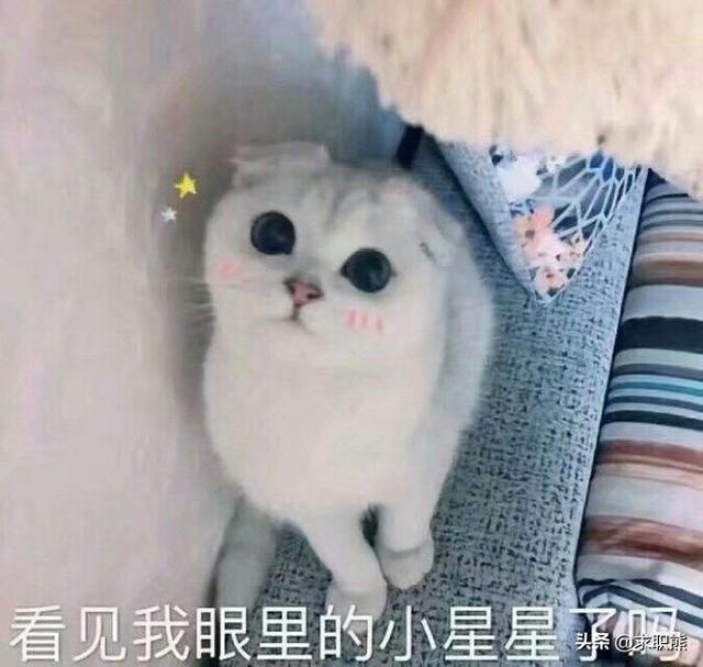 跨境电商运营工资大概多少钱（跨境电商运营工资大概多少钱一个月）