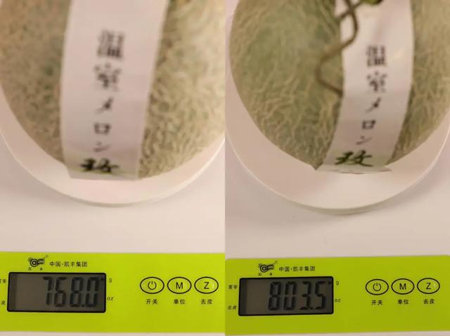 拼多多100元第二次容易拿吗（拼多多100元助力有风险吗）