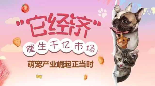 副业赚钱的，副业赚钱的路子有哪些？