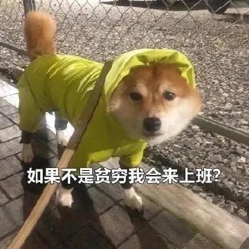 抖音打工人文案，抖音打工人文案怎么写？