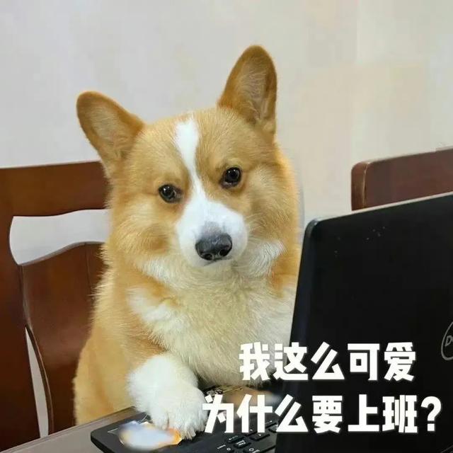 抖音打工人文案，抖音打工人文案怎么写？