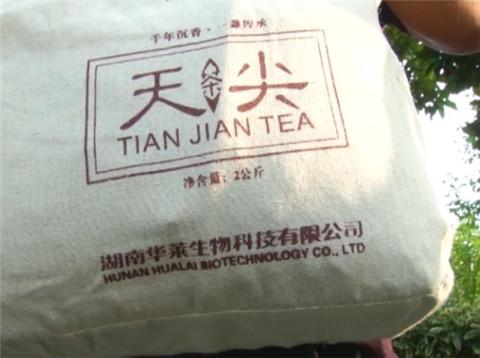 安化黑茶销售模式合法吗，安化黑茶营销模式合法吗？