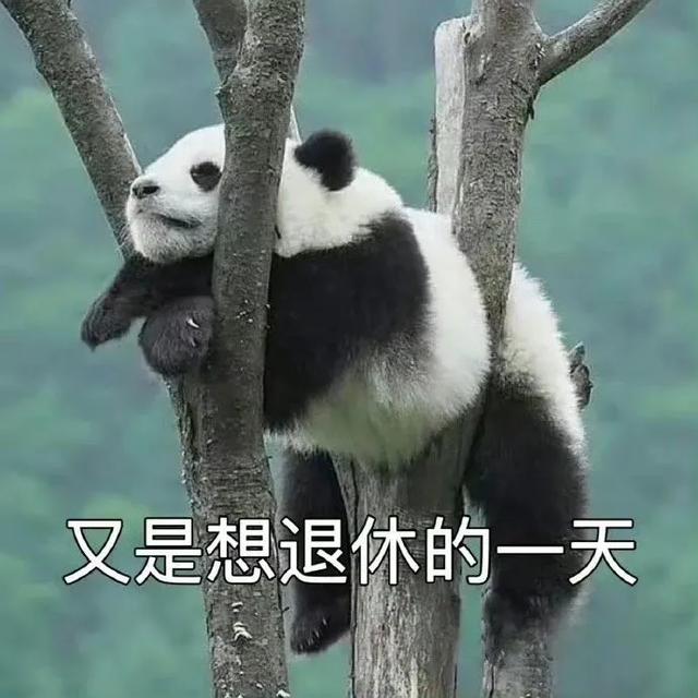 抖音打工人文案，抖音打工人文案怎么写？