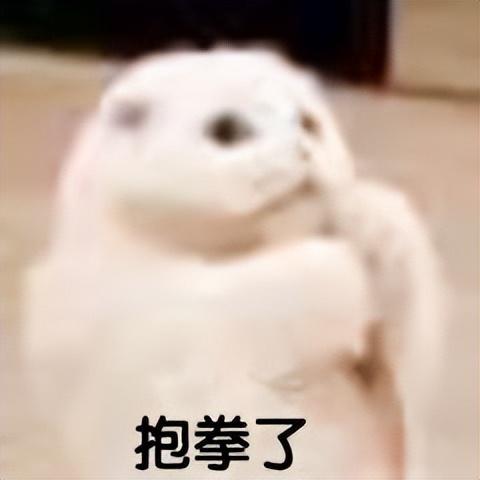 小米官方旗舰店正品，小米官方旗舰店正品官网？